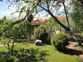 Residence Lorena Ferienhaus mit Salzwasser-Pool und Garten in Porec